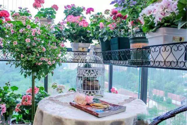 小小阳台打造绿意花园，照看植物很简单